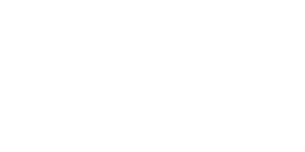 Rocket Fizz Logo