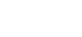 Museum Fiasco Logo